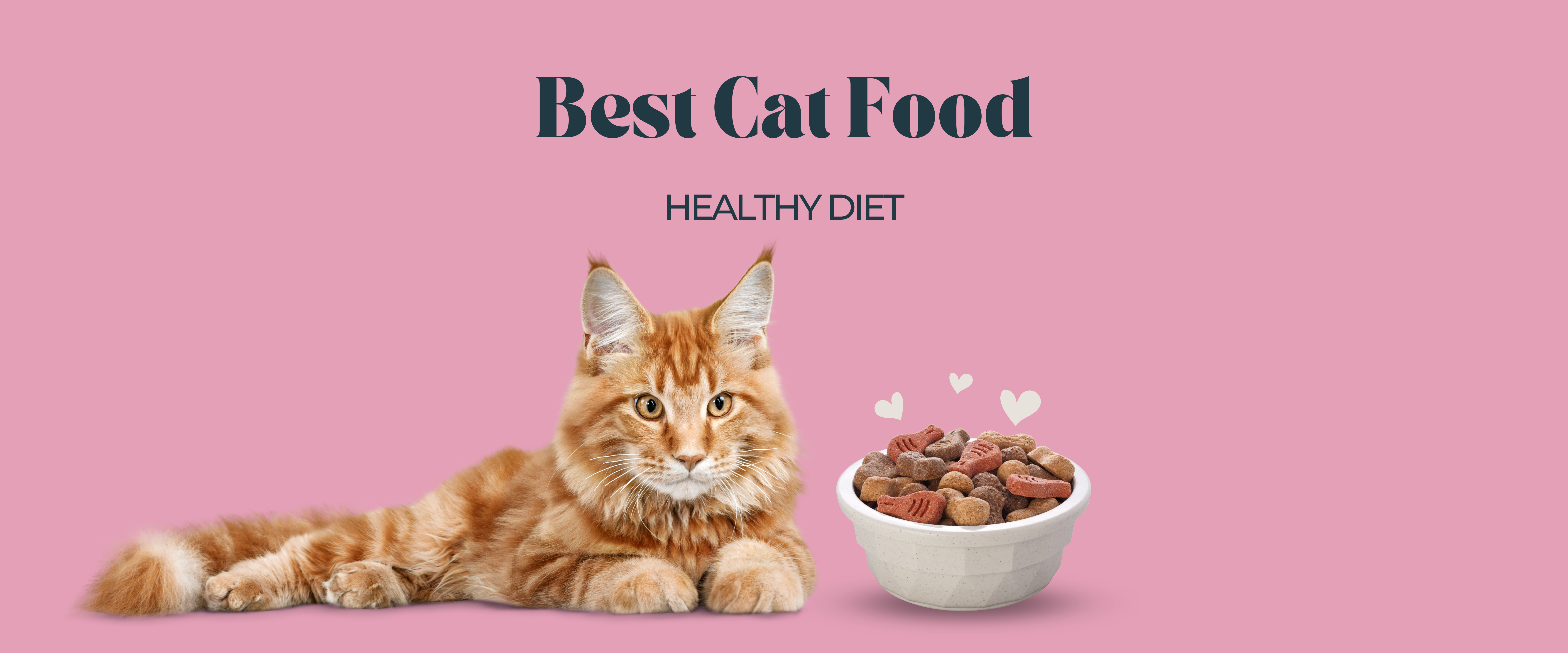 Nourishing your feline companion with the right cat food is essential for a happy and healthy life.