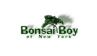 Bonsai boy